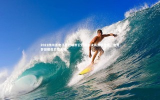 九游会j9：2021四川省电子竞技城市公开赛总决赛激情收官，电竞梦想照亮巴蜀大地