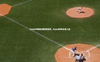 j9九游会官网：Gambit教练谈阵容变革，Kane并非合适人选